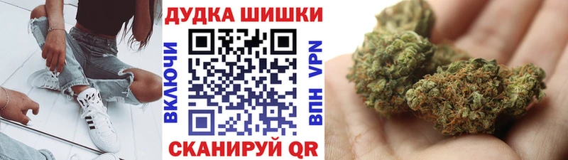 Купить где  Камень-на-Оби  Каннабис конопля 